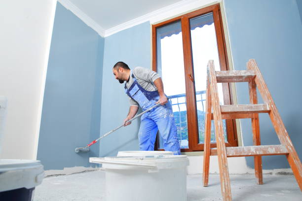 Best Mold-Related Health Consultation  in Averill Park, NY