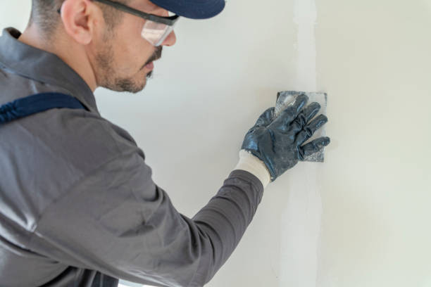 Best Asbestos and Lead Testing During Mold Inspection  in Averill Park, NY