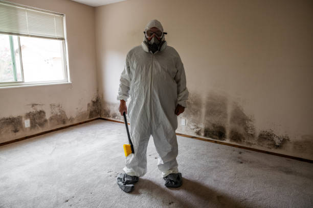 Best Industrial Mold Remediation  in Averill Park, NY